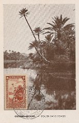 colomb bechar  (42)